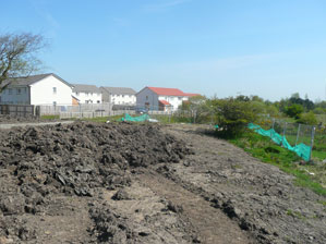 Netting on heras fencing to prevent water voles from accessing construction site