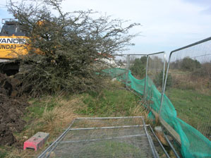 Outfall creation adjacent to water vole exclusion