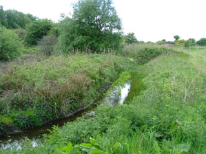 One of the drains at Powfoot