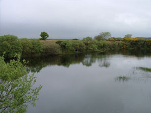 Survey at Torrs Warren for great crested newts