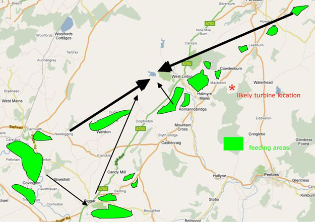 Pink-footed Goose Flight-lines and feeding areas identified as part of the extended Phase 1