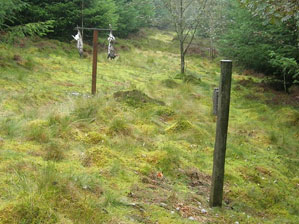 Camera trap focused on rabbit bait on forest ride at first camera location 