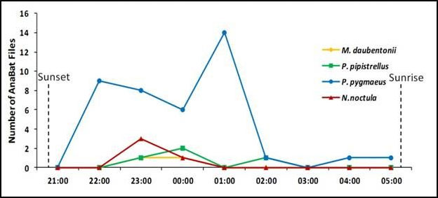 Temporal activity graph