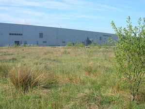 Post industrial habitats on brownfield sites support a wide range of plant and animal communities