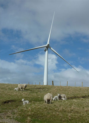 Improving grazing under turbines to minimise raptor activity