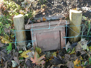 Swinging gate at badger sett entrance as part of sett closure under license